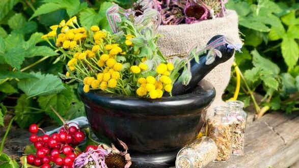 Αφεψήματα φυτών