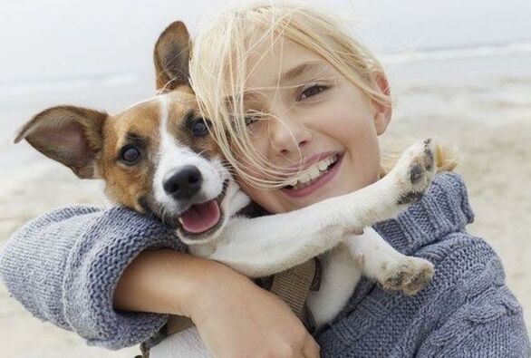 Παρασιτική μόλυνση από σκύλο